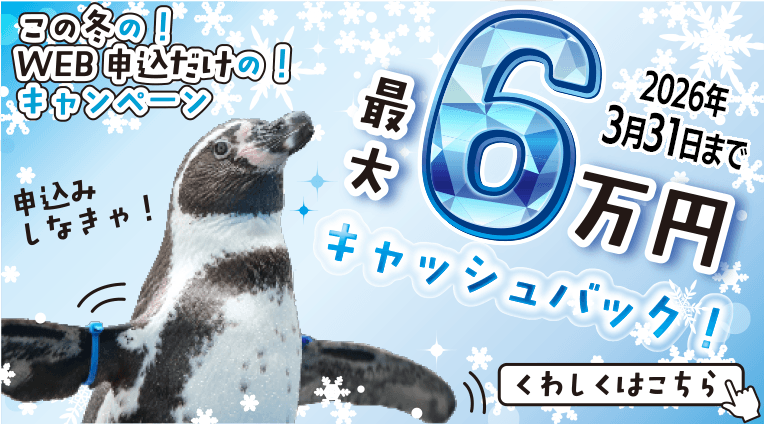 冬のWeb限定申し込みで最大60,000円キャッシュバックキャンペーン