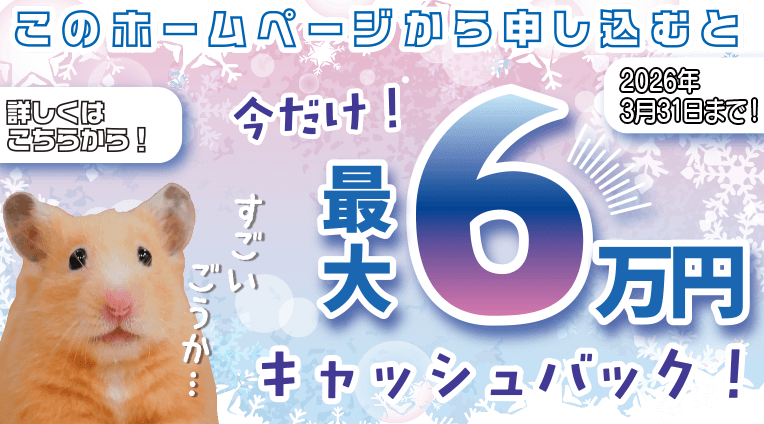 冬のWeb限定申し込みで最大60,000円キャッシュバックキャンペーン