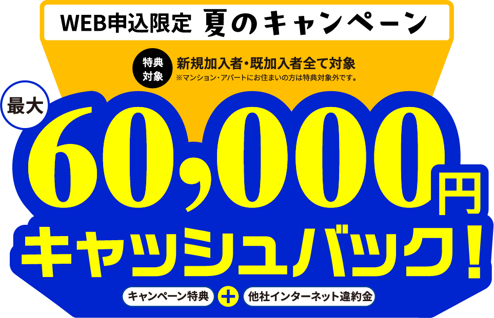 WEB申込限定 夏のキャンペーン